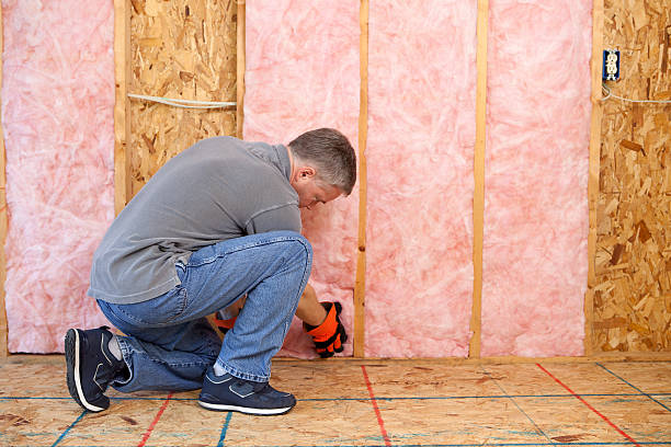 Best Insulation Inspection Services  in Falling Water, TN