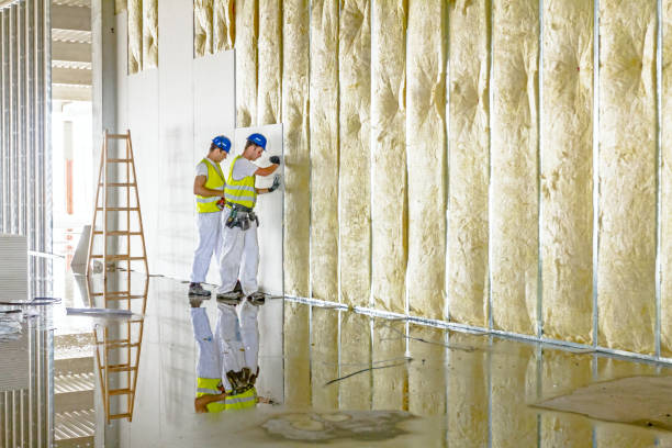 Best Local Insulation Services  in Falling Water, TN